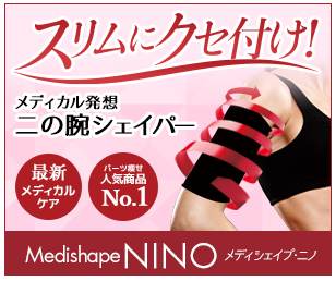 ���f�B�V�F�C�v�j�m �̔��X